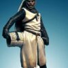 Teutonic Knight