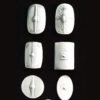 Seven Roman Shields